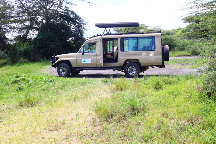 Safari Vehicle 2